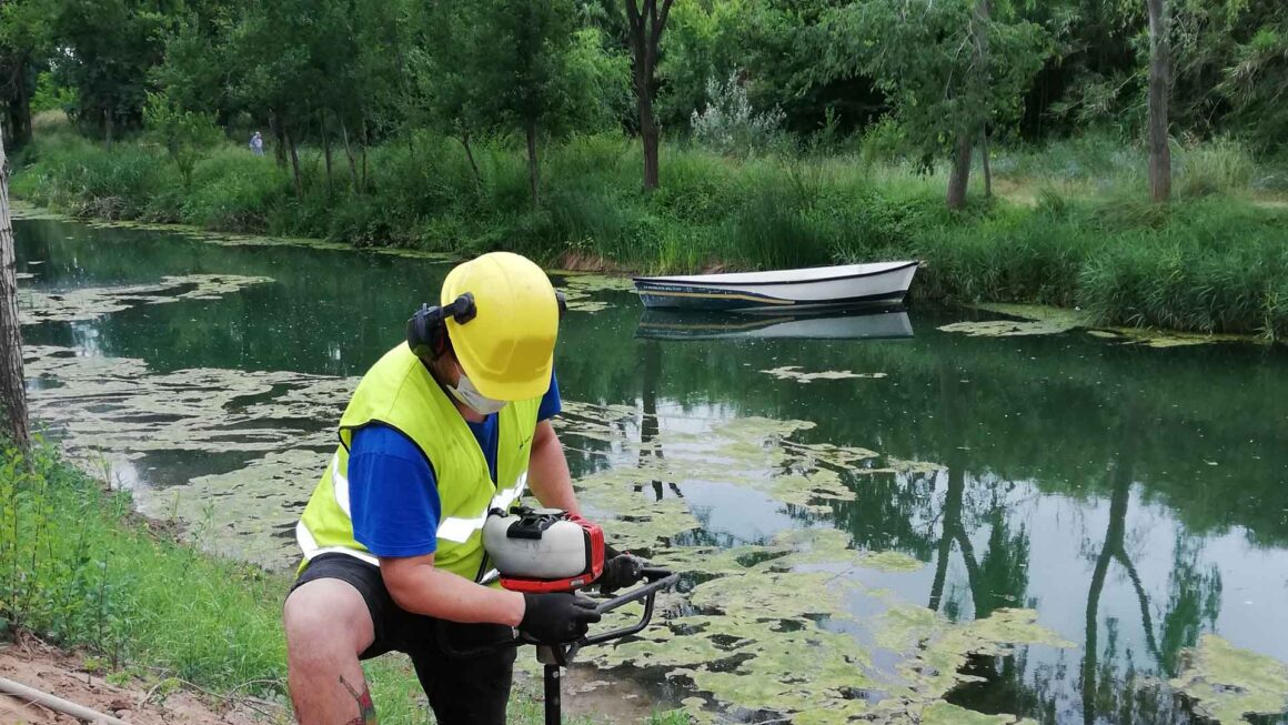 Restauració del riu Anna