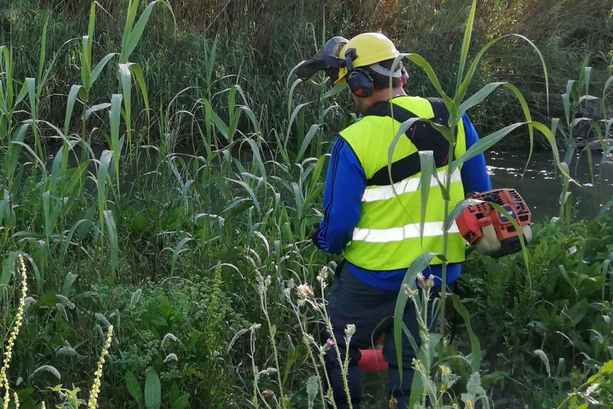 Restauració del Túria