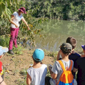 tardor_cin Tardor al riu