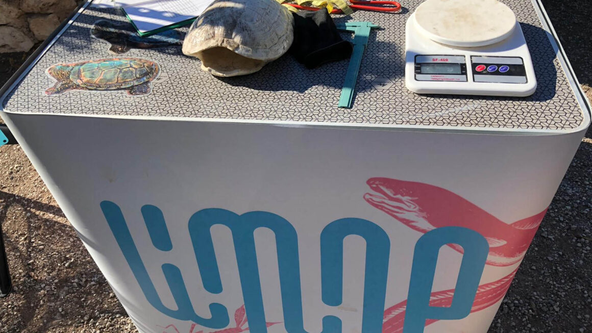 Tallers de tinença responsable a València