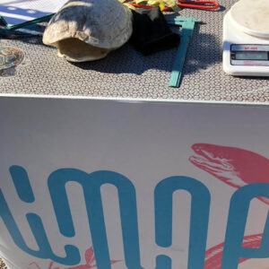 Tallers de tinença responsable a València