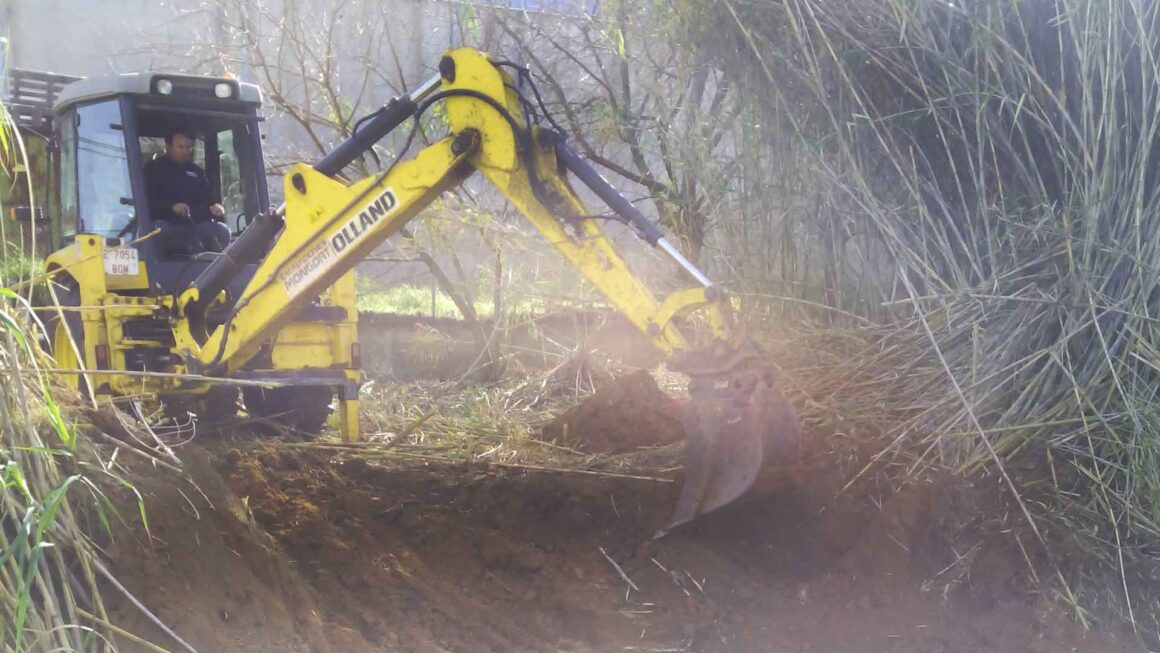 Eliminació canyar a La Pobla Llarga