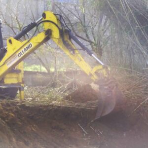 Eliminació canyar a La Pobla Llarga