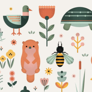 Cicle d’educació ambiental “Primavera al Riu”