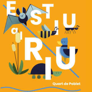 Activitats d’estiu al CIN