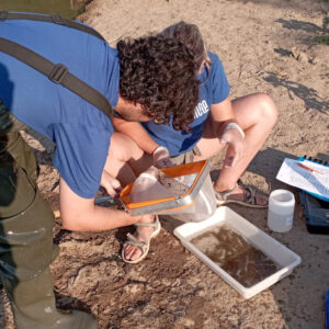 fluviatilis Fluviatilis: una oportunitat per restaurar rius i adaptar-nos al canvi climàtic