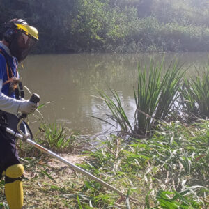 reservoris_qdp Reservoris de flora amenaçada