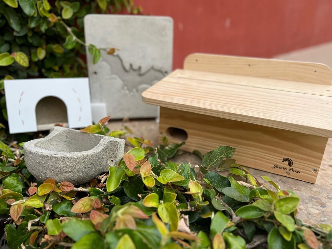 Lluita biològica vers els mosquits d’Alfara