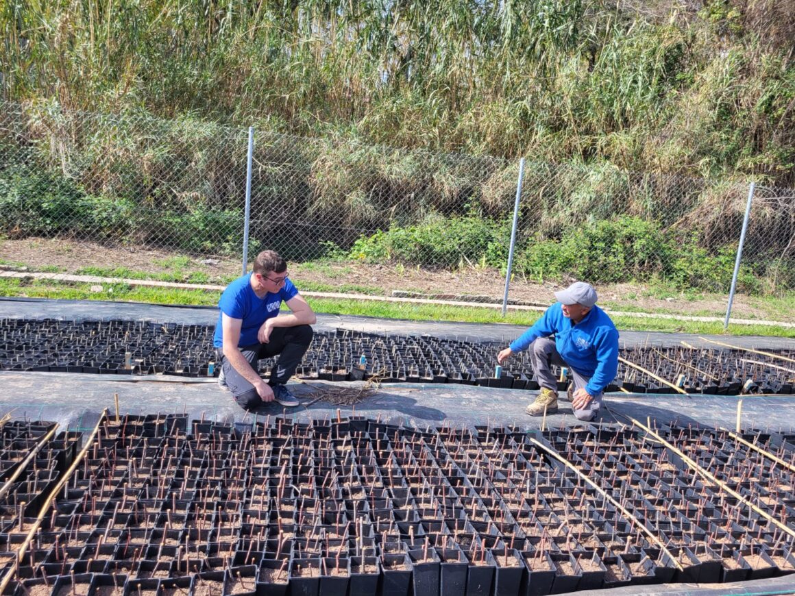 Limne pone en marcha un vivero en Quart de Poblet