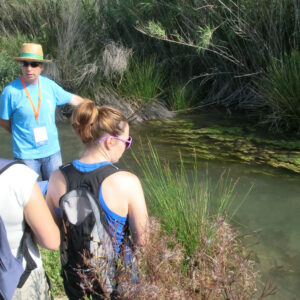 RIWET: innovació en la gestió dels rius