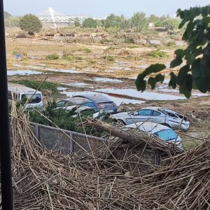 DANA_Quart_de_Poblet Afeccions de la DANA