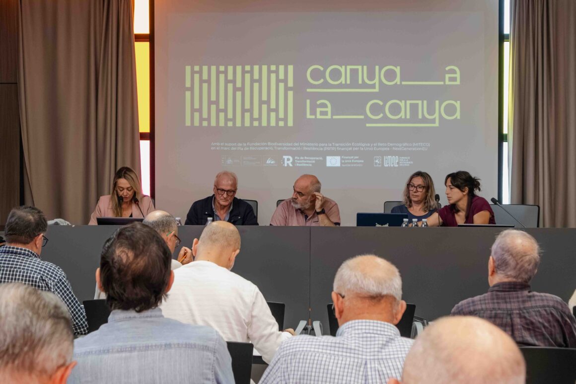 consell_xuquer_2 Consell Consultiu del Xúquer